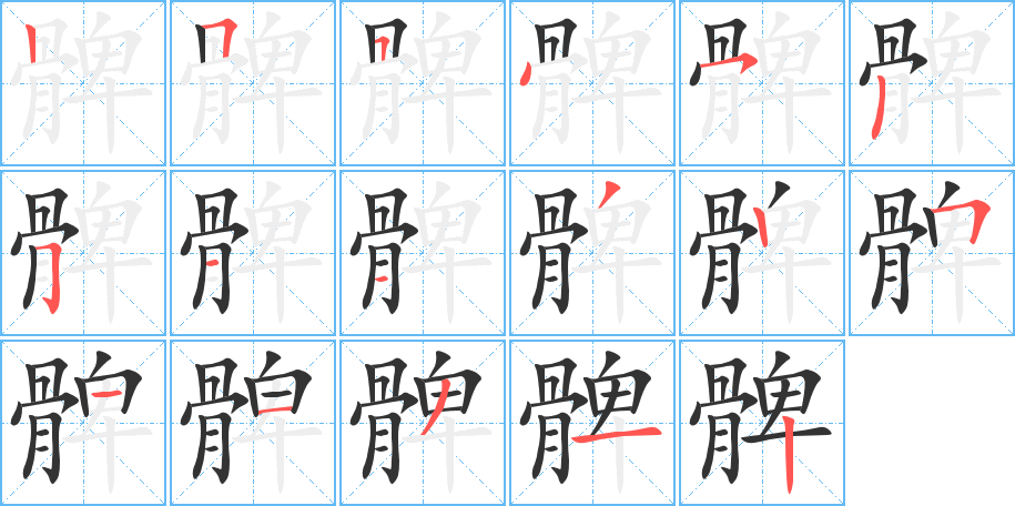 髀字笔顺的正确写法图