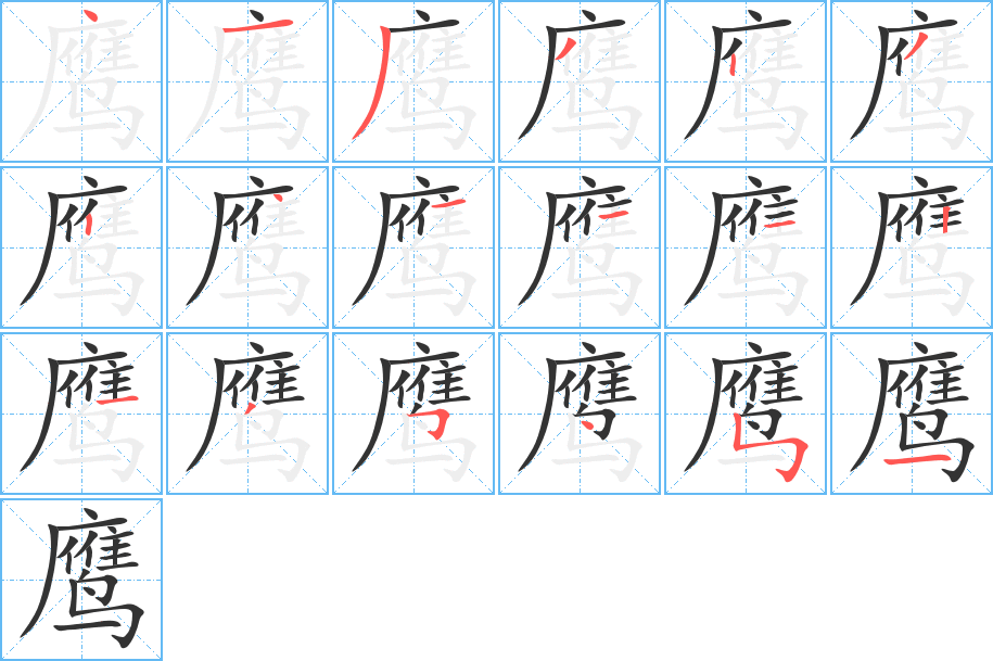 鹰字笔顺的正确写法图