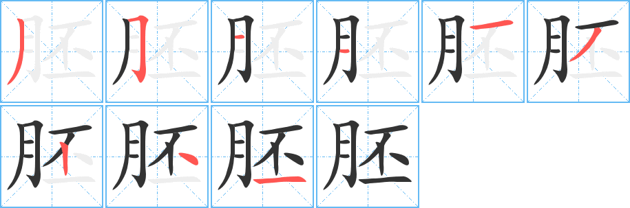 胚字笔顺的正确写法图