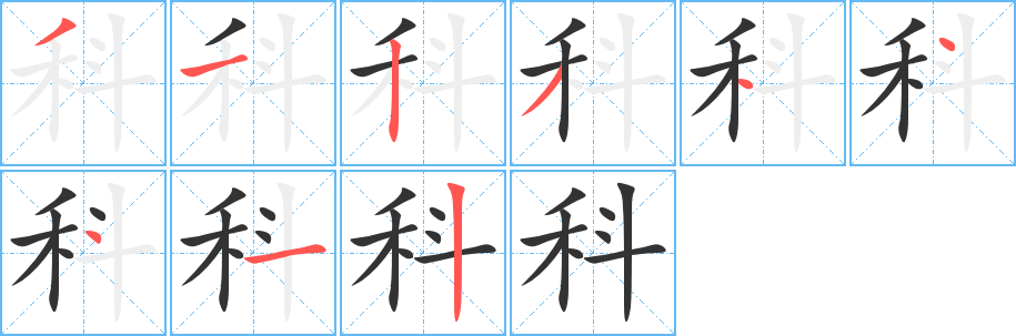 科字笔顺的正确写法图