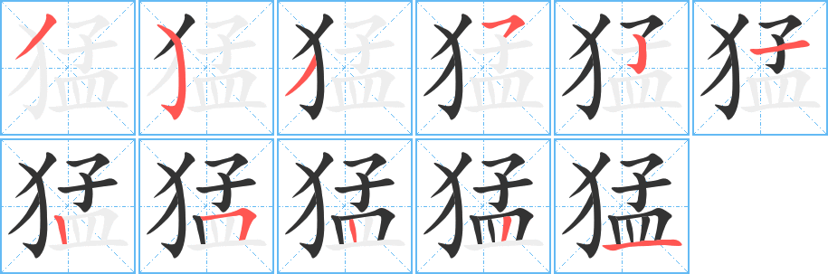 猛字笔顺的正确写法图