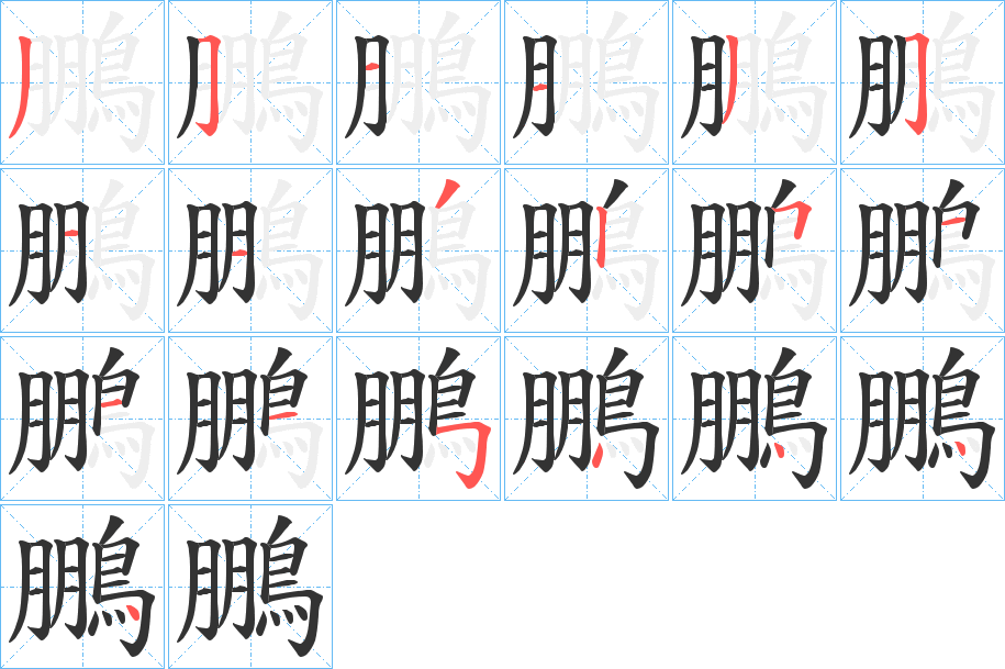 鵬字笔顺的正确写法图