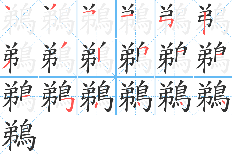 鵜字笔顺的正确写法图