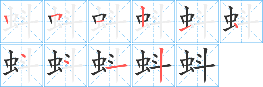 蚪字笔顺的正确写法图