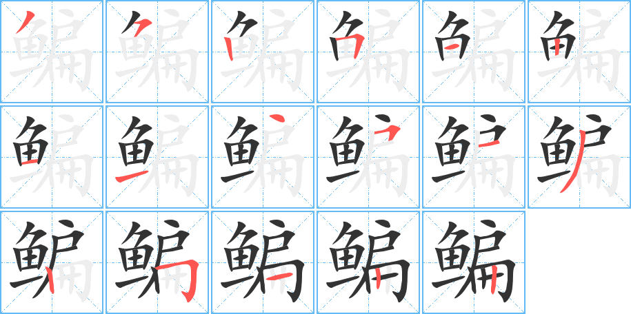 鳊字笔顺的正确写法图