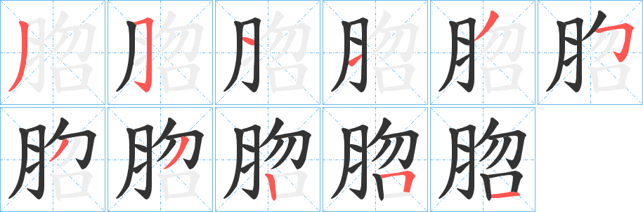 脗字笔顺的正确写法图