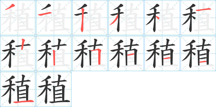 稙字笔顺的正确写法图