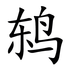 鸫